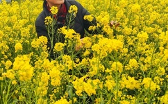 七个美国fbi的推理测试题